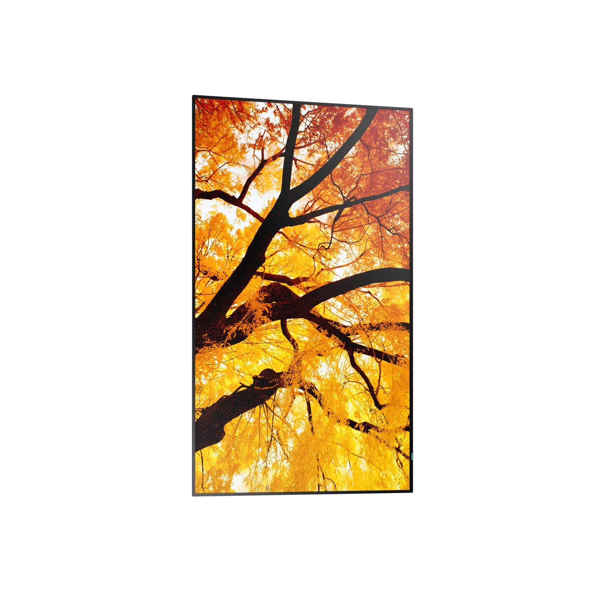 Monitor Videowall Sharp 60006053 4K Ultra HD 42,5"